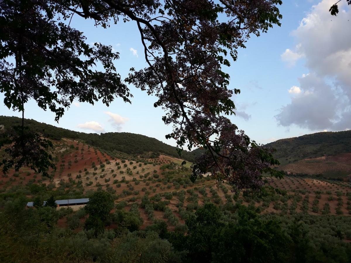 Casa De Aulabar Vendégház Kültér fotó